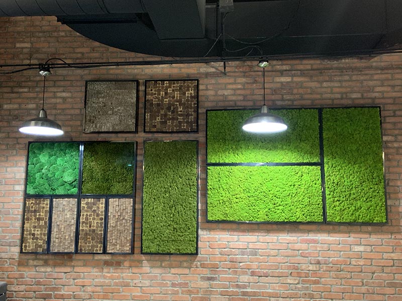 Moss Walls - Greenjeans Interiorscape